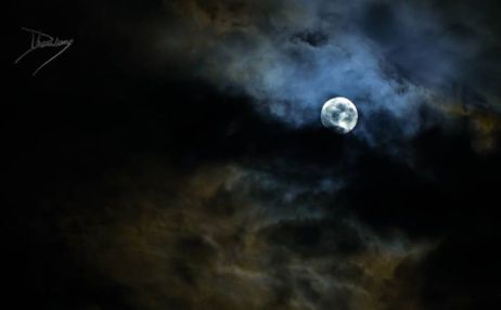 ফটো - মইনুল হোসেন ধ্রুব