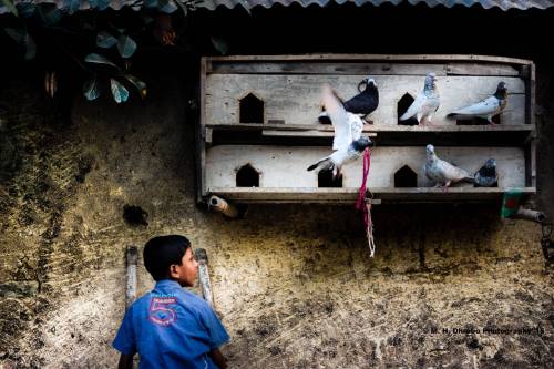 ক্লিক - মইনুল হোসেন ধ্রুব