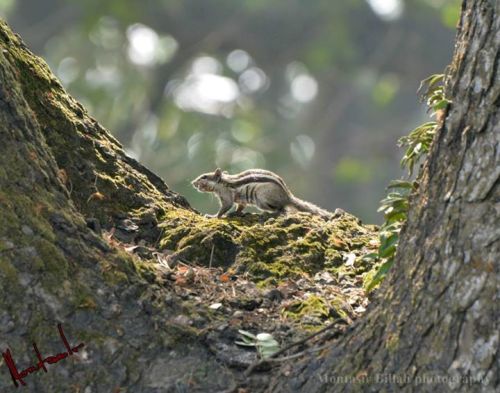 ক্লিক - মুনতাসির বিল্লাহ