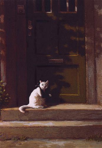 the-broken-paw.jpg!Blog