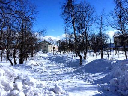 13820655_10154006318392886_30199757_n